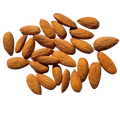Badam Giri Sanora
