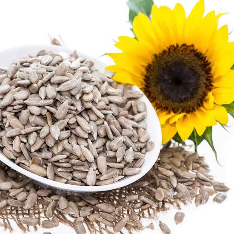 Sunflower Seeds  100 g