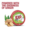 Exo Round Dishwash Tub 500gm
