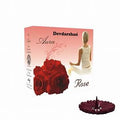 DEVDARSHAN AURA ROSE CONE