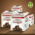 SANKAT MOCHAN AFGHANI GUGGAL