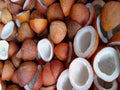 Khopa 1kg