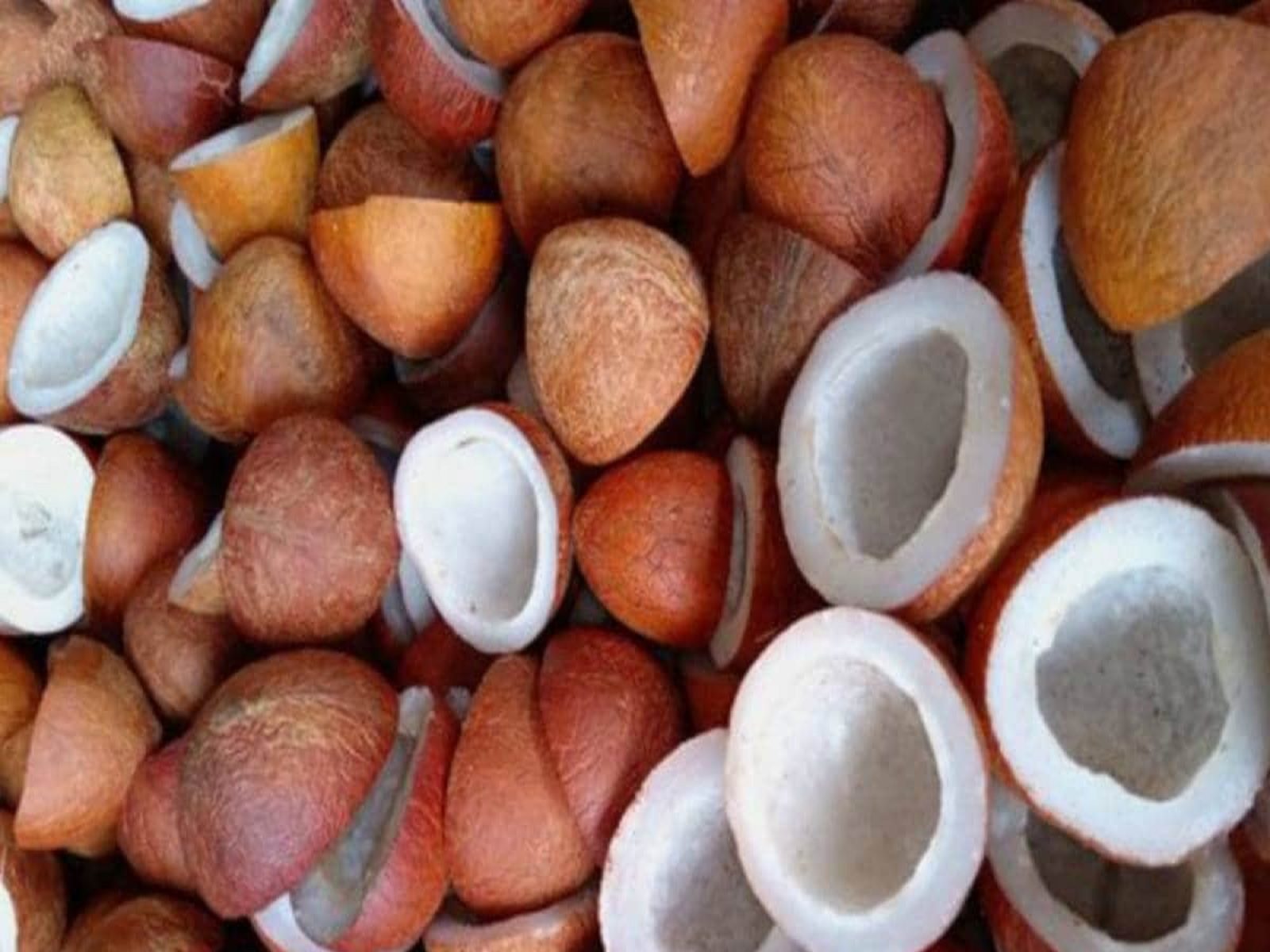 Khopa 1kg