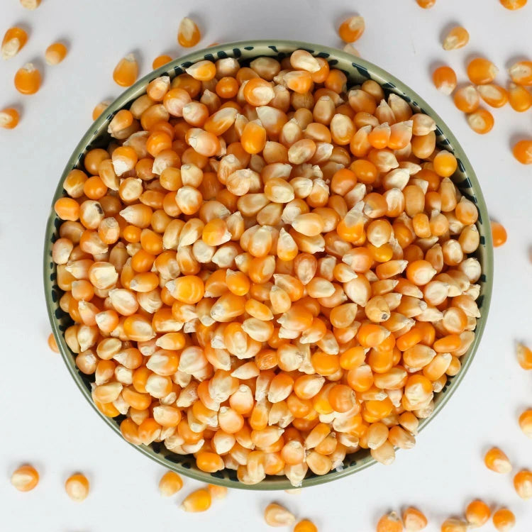 Popcorn Kernels (Makai Popcorn) - 1 Kg